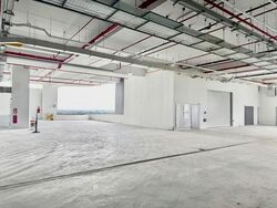 Ct Foodnex (D25), Factory #506199111